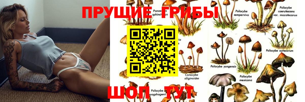 цена наркотик  Псилоцибиновые грибы Psilocybe  Галлюциногенные грибы Cubensis  Вход с VPN  Сатка 